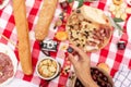 Summer outdoor picnic party. Food, honey and fruits lay on checkered blanket Royalty Free Stock Photo