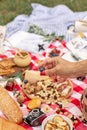 Summer outdoor picnic party. Food, honey and fruits lay on checkered blanket Royalty Free Stock Photo