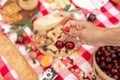 Summer outdoor picnic party. Food, honey and fruits lay on checkered blanket Royalty Free Stock Photo