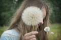 Summer outdoor portrait of a romantic girl with a big fluffy dandelion. the child holds a dry dandelion in his hands Royalty Free Stock Photo