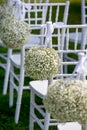 Summer outdoor wedding ceremony decoration. White chairs decorated with gypsophila balls, vertical view Royalty Free Stock Photo