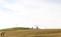 Summer outdoor wheat panorama Royalty Free Stock Photo