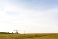 Summer outdoor wheat panorama Royalty Free Stock Photo