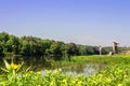 Summer outing in Oak Mountain State Park Royalty Free Stock Photo