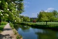 Summer by the Oxford River Cherwell