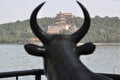 The Summer Palace in Beijing, a royal garden