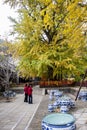 The Summer Palace landscape, tourism.