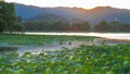 Summer palace sunset Royalty Free Stock Photo