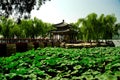 Summer palace yiheyuan Royalty Free Stock Photo