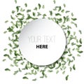 Summer palm leafs circle background isolated