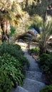 Summer, palm tree, garden, dryades park in La Baules les Pins, landscape, nature, tree, stairs, blue summer. Royalty Free Stock Photo