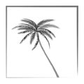 Summer palm trees sunset background. vector illustration. eps 10 Royalty Free Stock Photo