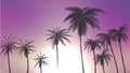 Summer palm trees in sunset scene. vector illustration. EPS 10 Royalty Free Stock Photo