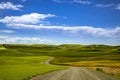 Summer in Palouse Washington during canola bloom Royalty Free Stock Photo