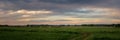 Summer panorama of fields with trees, Russia, Royalty Free Stock Photo