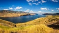 Summer panorama of the Kamloops lake in Canada Royalty Free Stock Photo