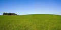 Summer panorama landscape with sky and field Royalty Free Stock Photo