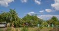 Summer panorama of a rural house and garden Royalty Free Stock Photo