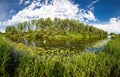 Summer panorama September landscape on the river near the forest, beautiful nature of Russia high resolution photo