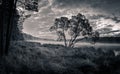 Black and white landscape of a foggy morning on a lake in autumn, Russia, Ural Royalty Free Stock Photo