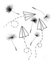 Summer paper planes and dandelion seeds, drawing for t-shirt design.