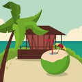 Summer and paradisiac island design