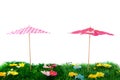 Summer parasols