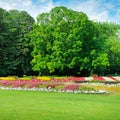 Summer park with beautiful flower beds, meadow and blue sky.