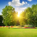 Summer park and beautiful flowerbeds