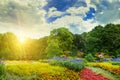 Summer park with beautiful flowerbeds