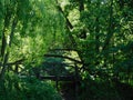 Forest bridge over the pond Royalty Free Stock Photo