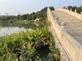 Summer Park. Exquisite stone arch bridge