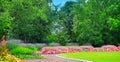 Summer park with flowerbeds