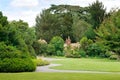 Summer park with green lawns Royalty Free Stock Photo