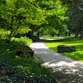 Summer park with green lawns Royalty Free Stock Photo