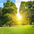 Summer park with green lawns Royalty Free Stock Photo