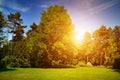 Summer park with green lawns Royalty Free Stock Photo