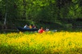 Summer Park with a lake. People traveling by boat among the beautiful greenery. Saint-Petersburg. The summer of 2017.