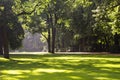 Summer park landscape