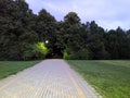 Summer park, Russia. Evening in the city Park. Lantern, trees, paths and lawn. in the background Royalty Free Stock Photo