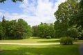 Summer park, trees Royalty Free Stock Photo