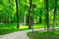 Summer park with walking paths Royalty Free Stock Photo