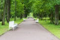 Summer Park with white benches and footpaths.