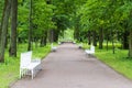 Summer Park with white benches and footpaths.