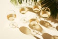Summer Party Drinks: Wine Glasses with Sparkling Wine and Sunshine Shadow on Light Table AI Generated
