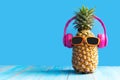 Summer in the party. Hipster Pineapple Fashion in sunglasses