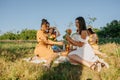 Summer party, Outdoor Gathering with friends. Five young women, Friends at the picnic dancing and having fun on summer Royalty Free Stock Photo