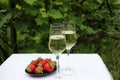 Summer party outdoors. Two glasses of champagne and a plate of fresh strawberries on a table in the garden Royalty Free Stock Photo