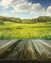 Summer pastoral background with wooden planks