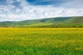 Summer pastoral scenery Royalty Free Stock Photo